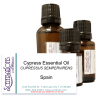 Cypress Essential Oil