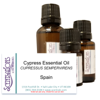 Cypress Essential Oil