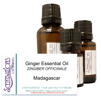 Ginger Essential Oil