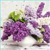 Lilac Perfume Oil