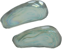 Mussel Servers set of 2